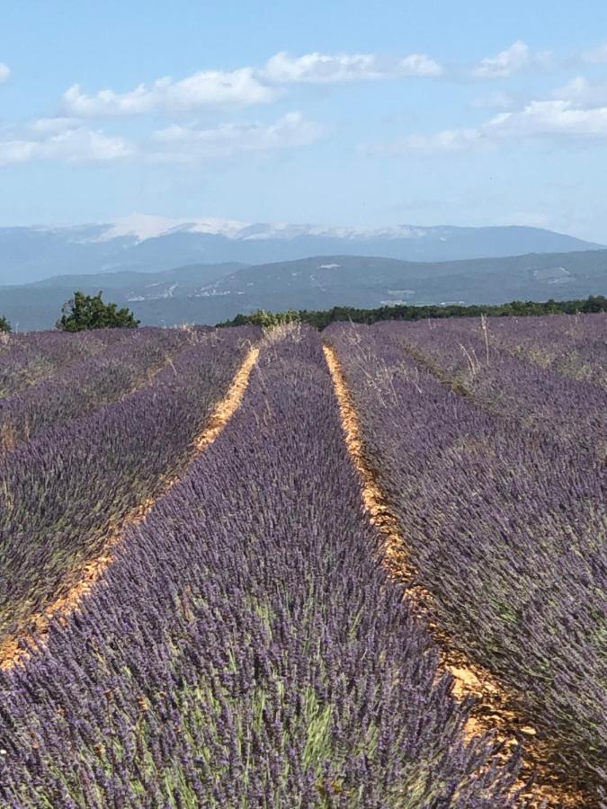 Provence Luberon Bonnieux Location Gite Chez Basile 외부 사진